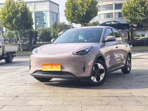 2025款 星愿 310km 梦想版