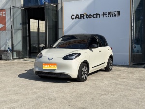 2023款 五菱缤果 333km 灵犀互联+款
