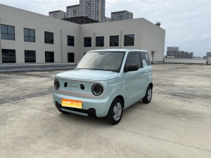 MY2023 Panda mini 200km Intelligent Panda