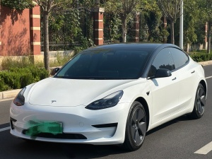 MY2022 Model 3 RWD