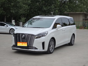 MY2023 Buick GL8 ES FirstLand Exclusive Joy Version