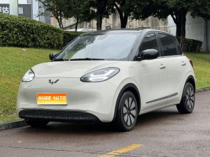 MY2024 Wuling Bingo 410km Ling OS Distinguished
