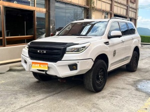 MY2020 Haval H9 2.0T Petrol 4WD Enjoy Version 5-Seat 