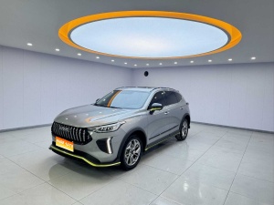 MY2022 Haval Chitu Enjoy 1.5T Copper Rabbit