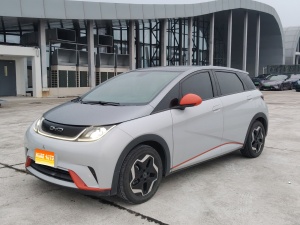 MY2021 Dolphin 405km Fashion