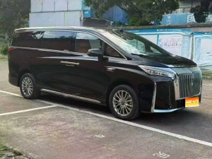 MY2025 WEY Gaoshan 4WD Gaoshan 8
