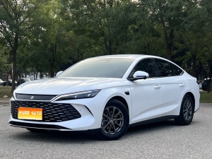 MY2025 Qin L DM-i i-Drive 80KM Lead