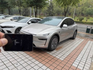 2025款 Model Y L 长续航全轮驱动版
