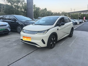 MY2025 Dolphin i-Drive 410km Fashion