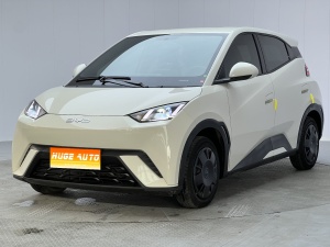MY2025 Seagull iDrive 305km Vitality
