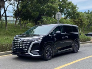 MY2022 DENZA D9 DM-i 1040 Distinguished