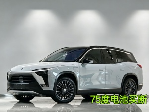 2020款 蔚来ES8 415KM 七座版