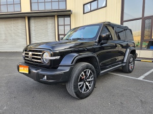 MY2023 Tank 300 City 2.0T Stylish