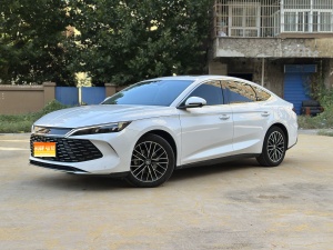 MY2024 Qin L DM-i 120KM Excellence