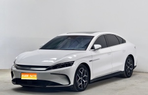 MY2022 Han EV Autobiography 715KM FWD Flagship