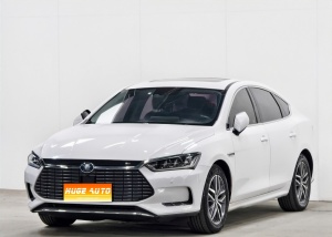 MY2018 Qin Pro EV500 ICV Lead