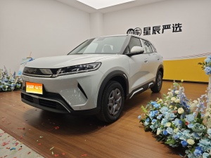 2025款 元UP 301KM 领航型