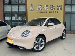 MY2023 Ora 03 401kmBasic-range Luxury Version Lithium iron phosphate