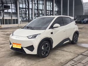 MY2025 Seagull iDrive 405km Fly