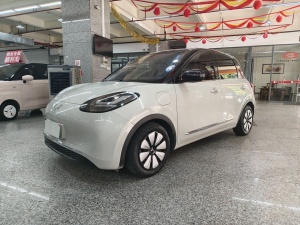 MY2023 Wuling Bingo 333km Enjoy