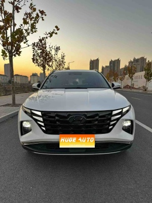 MY2023 Tucson L 1.5T AT 2WD DLX Luxury Version