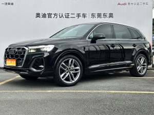 2024款 奥迪Q7 55 TFSI quattro S line运动型