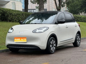 MY2025 Wuling Bingo 333km Ling OS