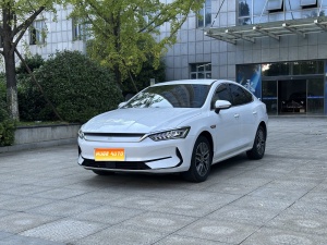 MY2023 Qin PLUS Champion EV 420KM Lead