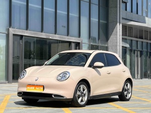 MY2023 Ora 03 401km Standard Range Noble Version Lithium iron phosphate