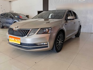 2019款 明锐 1.5L 自动豪华版