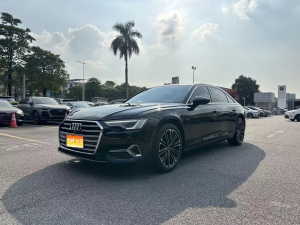 2024款 奥迪A6L 45 TFSI 臻选致雅型