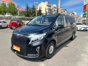 2021款 威霆 2.0T 精英版 7座