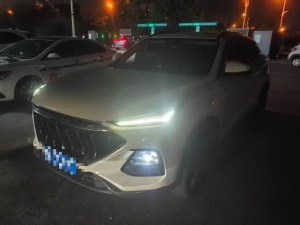 2022款 长安欧尚X5 运动版 1.5T DCT旋风冲锋