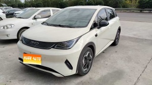 MY2025 Dolphin i-Drive 420km Free