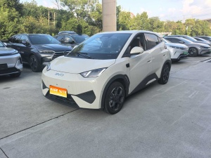 2025款 海鸥 305km 自由版