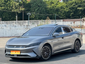 MY2021 HAN EV Basic-range Luxury