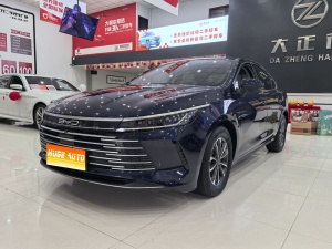 MY2024 Destroyer05 Honor DM-i 55KM Luxury