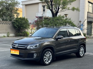 MY2016 Tiguan 280TSI AT 2WD Silk Road Fashion Version 