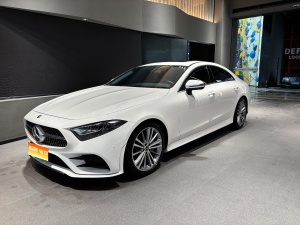 MY2020 Mercedes Benz CLS Class 300 Dynamic Version