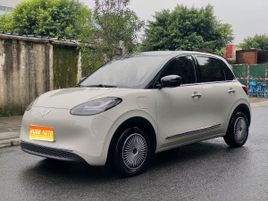 MY2024 Wuling Bingo 333km Ling OS
