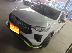 2022款 哈弗赤兔 劲享版 1.5T 紫铜兔