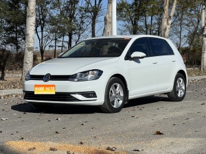 2019款 高尔夫 改款 1.6L 自动时尚型 国V