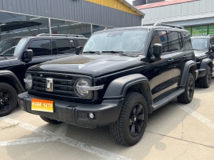 MY2025 TANK 300 2.0T Petrol Challenger