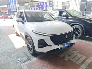 MY2020 Baojun RS-3 1.5L CVT 24h On-line Luxury Version 