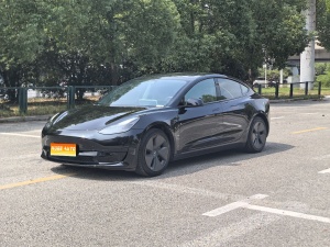 MY2021 Model 3 Facelift Standard Range RWD Upgraded 3D1
