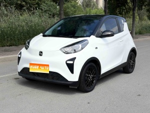 2024款 小蚂蚁 改款 321km 钟爱版