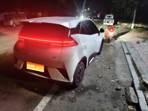 MY2025 Seagull iDrive 305km Vitality