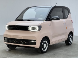 2022款 宏光MINI EV 马卡龙臻享款 磷酸铁锂
