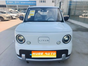 MY2025 LIVAN Lanqiqiu Vitality