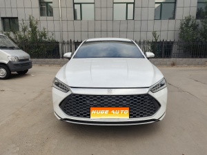 MY2024 Qin PLUS Honor DM-i 55KM Lead